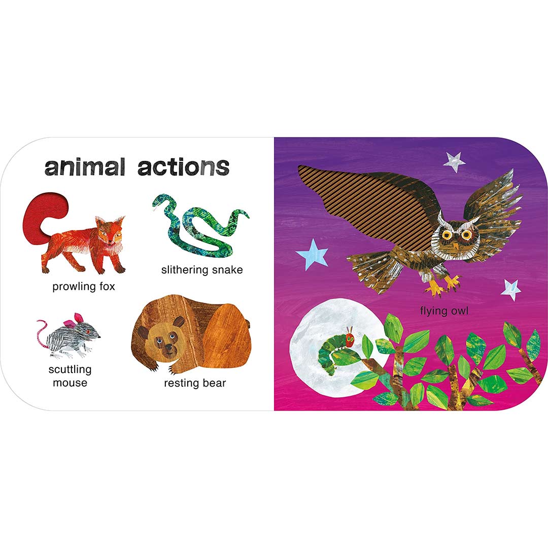 Bookspeed Very Hungry Caterpillars - Touch And Feel - Animals - Multi - Board - Image 6