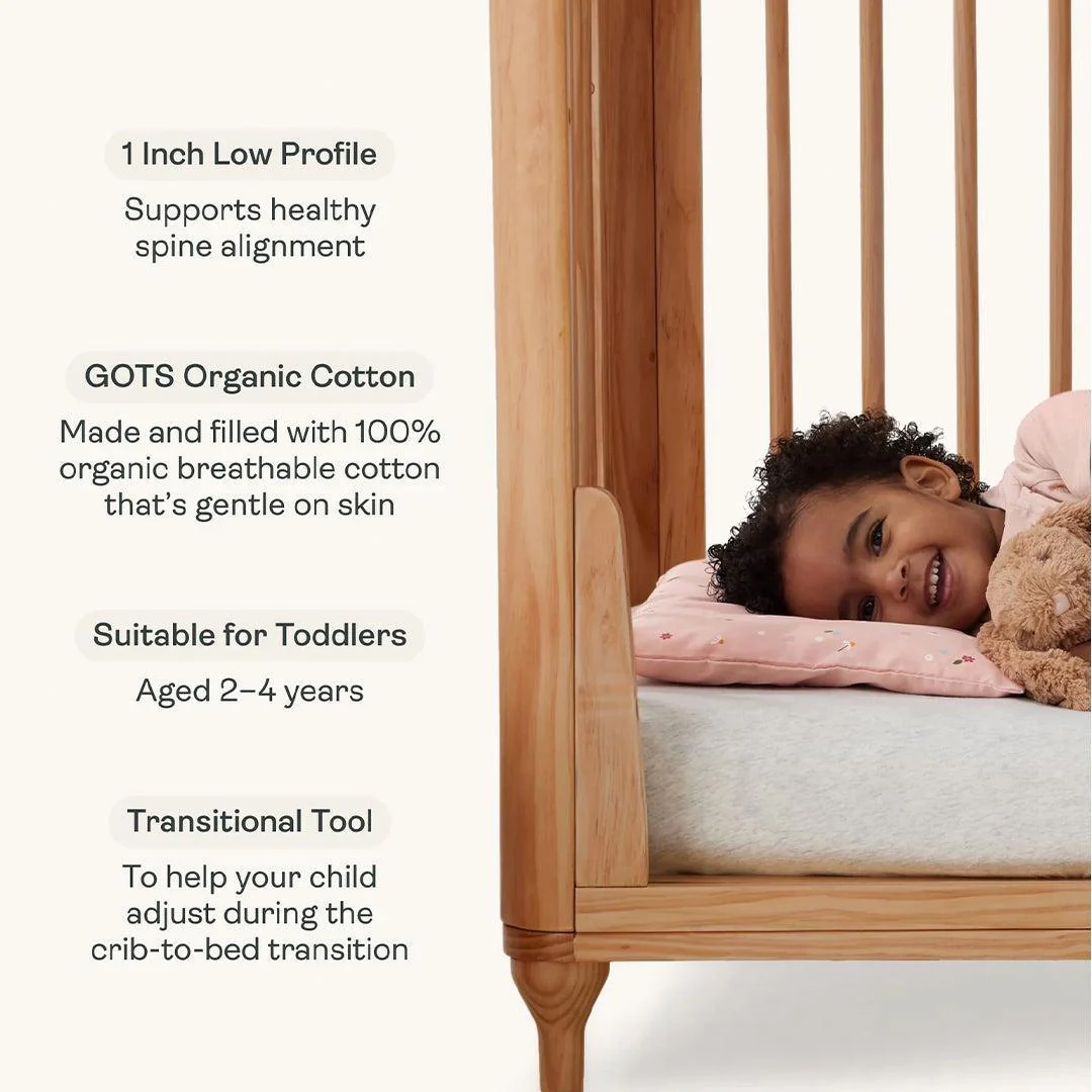 ergoPouch - Organic Toddler Pillow & Case - 0.3 TOG  - Dragonflies - Image 2