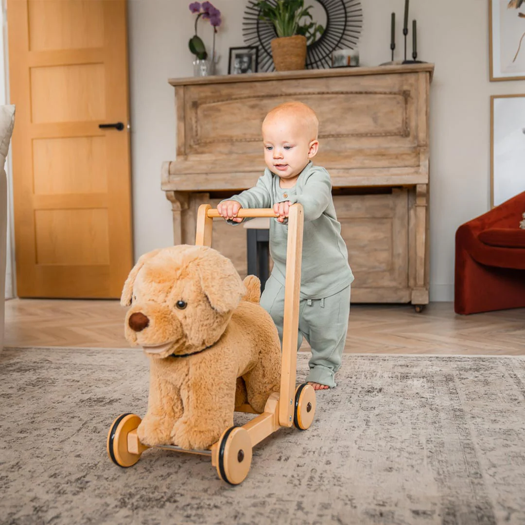 Little Bird Told Me - Push-Along Dog - Dexter (12m+) - Image 2